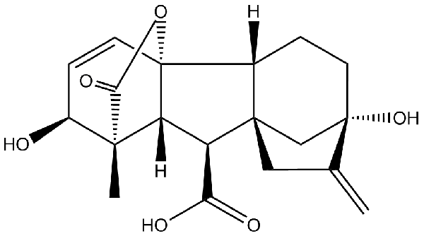 赤霉素GIBBERELLIC ACID，居然有這么神奇？